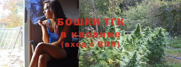 индика Абдулино