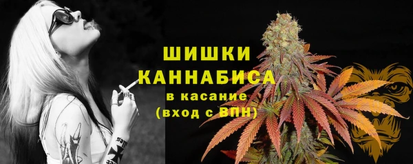 индика Абдулино