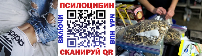сколько стоит  Лесозаводск  Галлюциногенные грибы MAGIC MUSHROOMS 